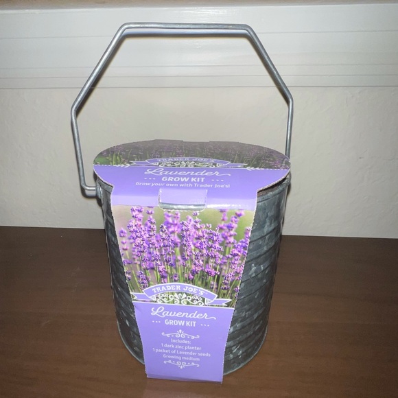 Trader Joe’s Accents Trader Joes Lavender Grow Kit Poshmark